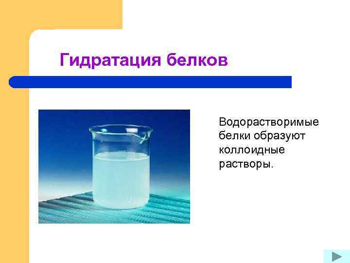 Гидратация белков Водорастворимые белки образуют коллоидные растворы. 