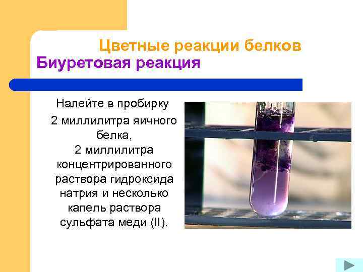 Цветные реакции белков Биуретовая реакция Налейте в пробирку 2 миллилитра яичного белка, 2 миллилитра