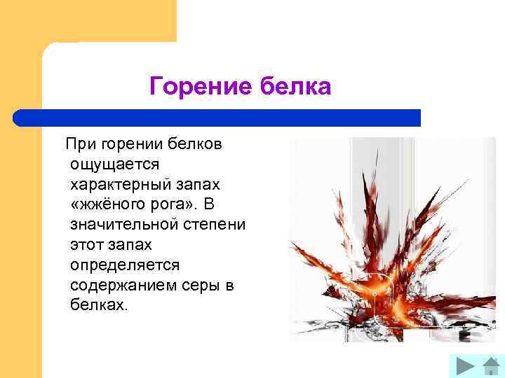 Горение белка При горении белков ощущается характерный запах «жжёного рога» . В значительной степени