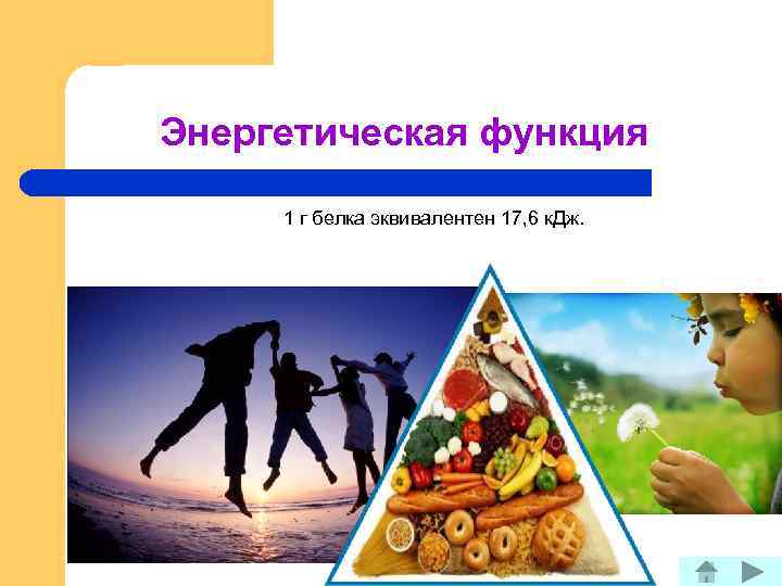 Энергетическая функция 1 г белка эквивалентен 17, 6 к. Дж. 