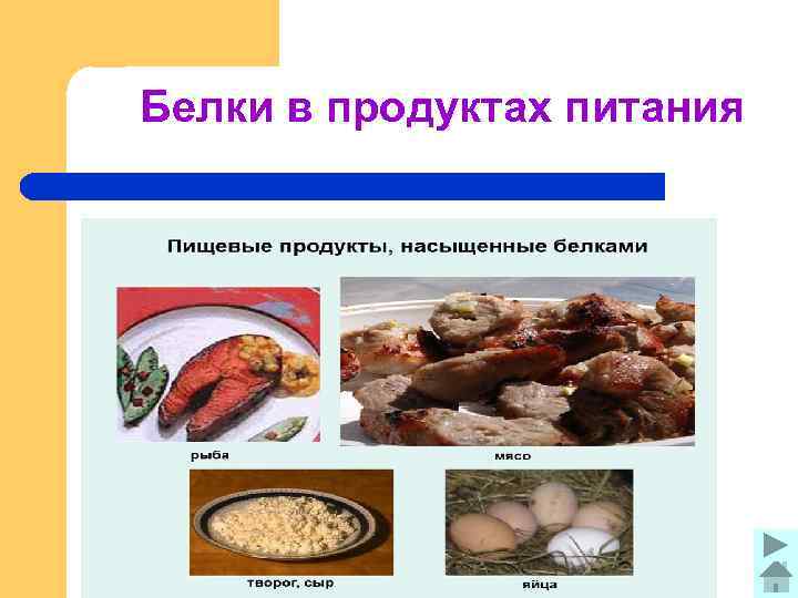 Белки в продуктах питания 