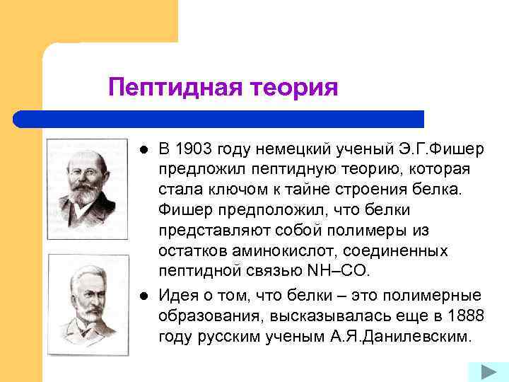 Пептидная теория l l В 1903 году немецкий ученый Э. Г. Фишер предложил пептидную