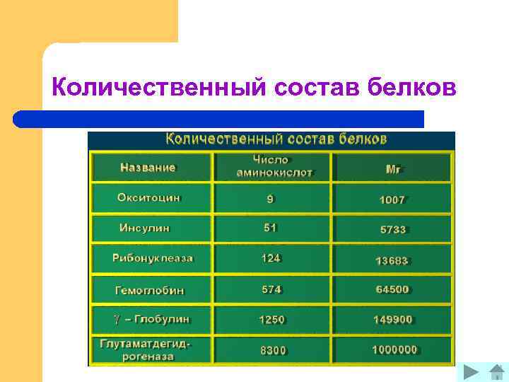 Количественный состав белков 