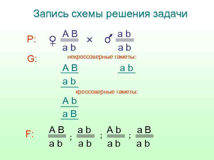 Запись схемы решения задачи P: G: AB ab ab ab некроссоверные гаметы: AB ab