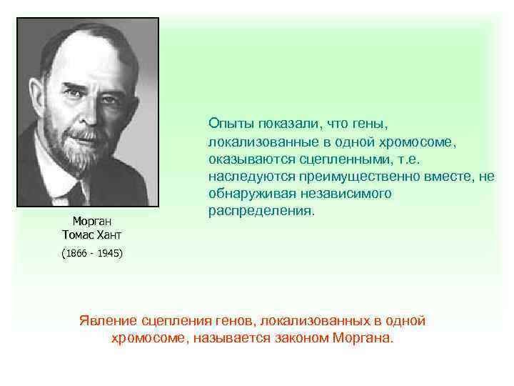 Морган Томас Хант Опыты показали, что гены, локализованные в одной хромосоме, оказываются сцепленными, т.