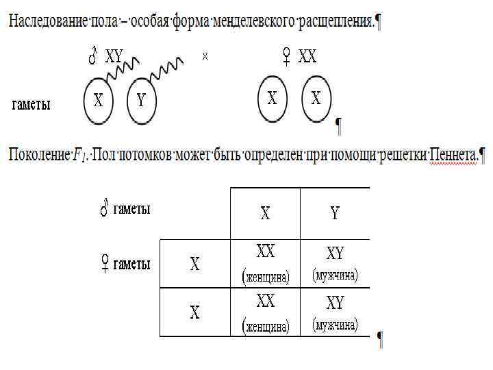 Сколько типов гамет образует aabbccdd. Хромосомный состав мужской гаметы.