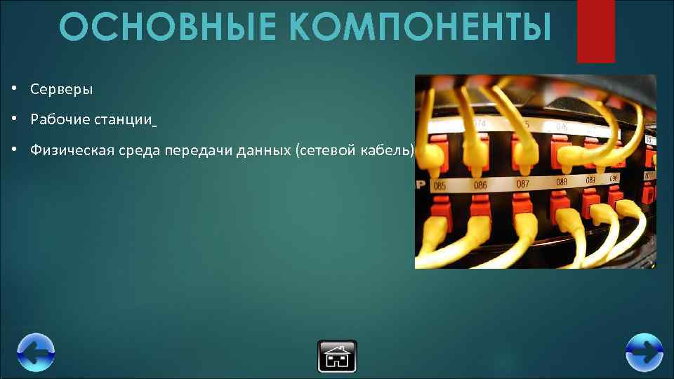 ОСНОВНЫЕ КОМПОНЕНТЫ • Серверы • Рабочие станции • Физическая среда передачи данных (сетевой кабель)