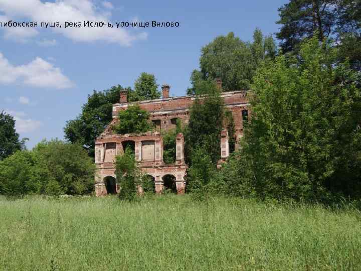 либокская пуща, река Ислочь, урочище Вялово 