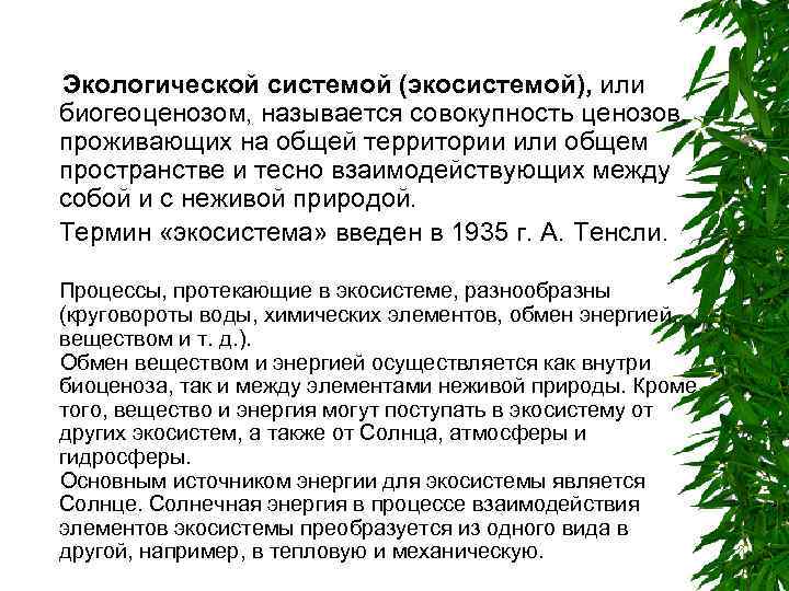 Экологической системой (экосистемой), или биогеоценозом, называется совокупность ценозов, проживающих на общей территории или общем