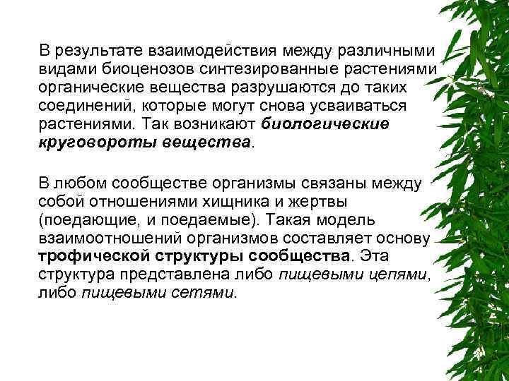 В результате взаимодействия между различными видами биоценозов синтезированные растениями органические вещества разрушаются до таких