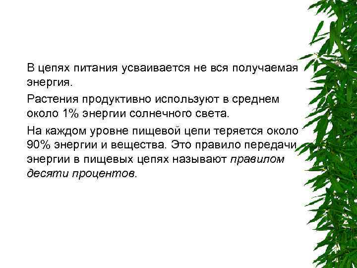 В цепях питания усваивается не вся получаемая энергия. Растения продуктивно используют в среднем около