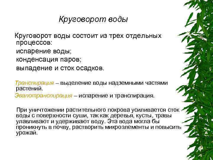 Круговорот воды состоит из трех отдельных процессов: испарение воды; конденсация паров; выпадение и сток