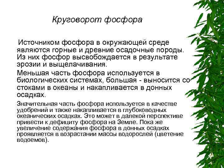 Круговорот фосфора Источником фосфора в окружающей среде являются горные и древние осадочные породы. Из