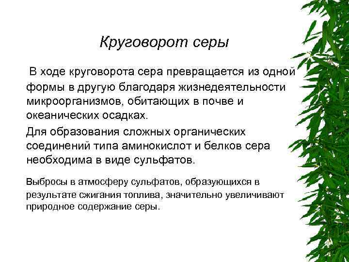 Круговорот серы В ходе круговорота сера превращается из одной формы в другую благодаря жизнедеятельности