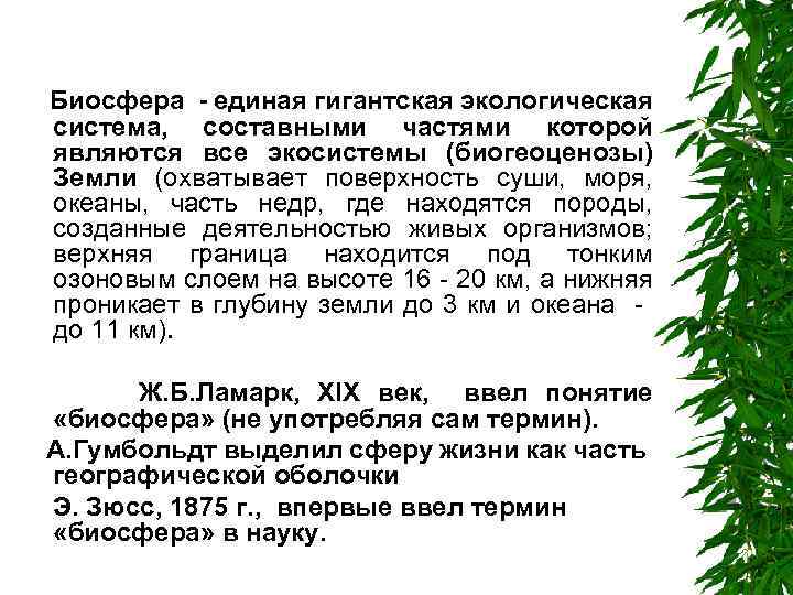 Биосфера - единая гигантская экологическая система, составными частями которой являются все экосистемы (биогеоценозы) Земли