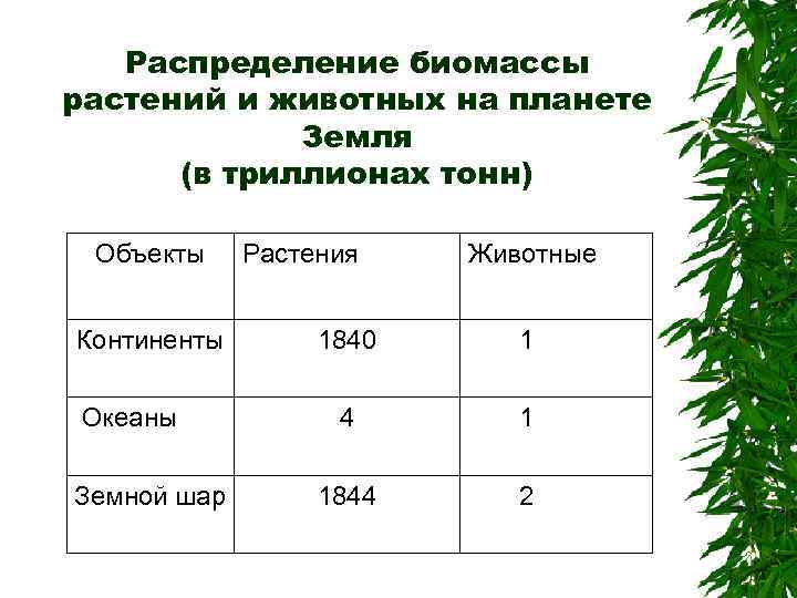Распределение биомассы растений и животных на планете Земля (в триллионах тонн) Объекты Континенты Океаны