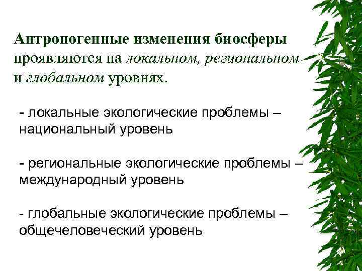 Глобальные антропогенные изменения в биосфере 11 класс презентация