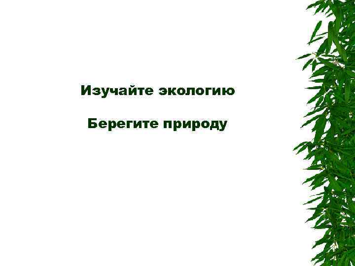 Изучайте экологию Берегите природу 