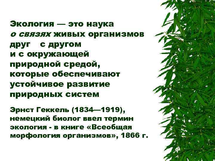 Экология — это наука о связях живых организмов друг с другом и с окружающей