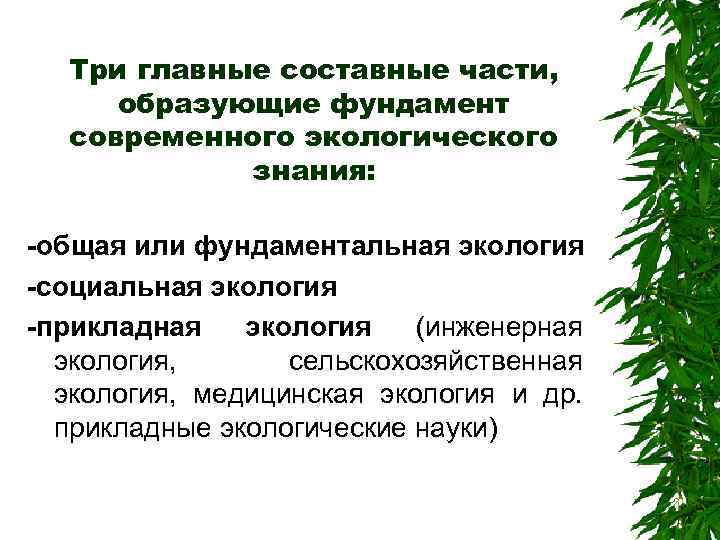 Три главные составные части, образующие фундамент современного экологического знания: -общая или фундаментальная экология -социальная