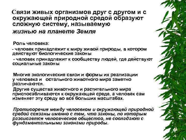 Связи живых организмов друг с другом и с окружающей природной средой образуют сложную систему,