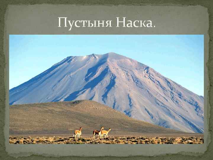 Пустыня Наска. 