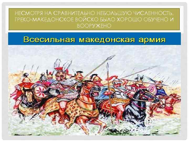 Македонская армия 5 класс. Греко-македонское войско.