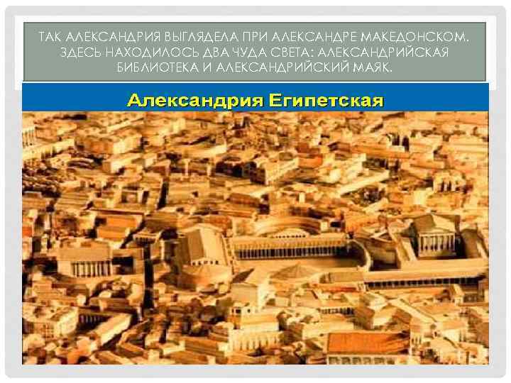 Македонский основал александрию. Александрия Египетская при Александре македонском.