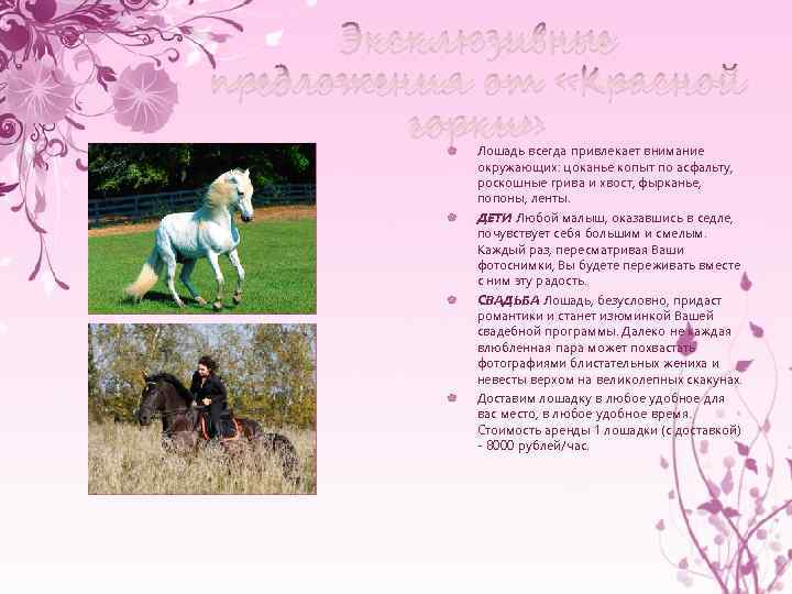 Эксклюзивные предложения от «Красной горки» Лошадь всегда привлекает внимание окружающих: цоканье копыт по асфальту,
