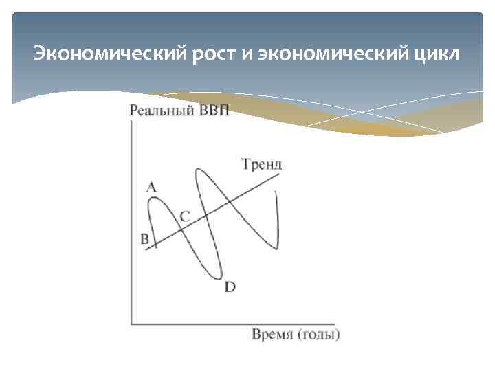 Экономический рост и экономический цикл 