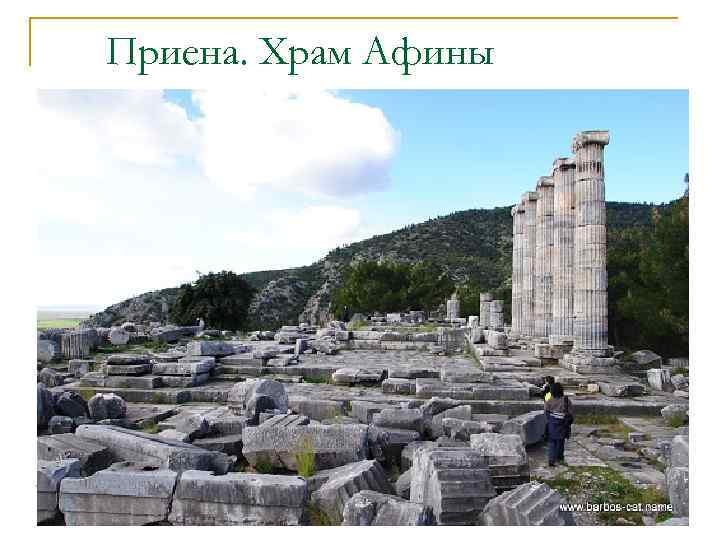 Приена. Храм Афины 