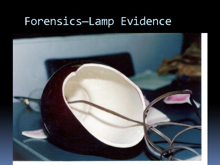 Forensics—Lamp Evidence 
