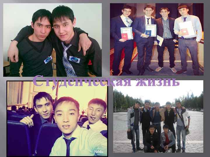 Студенческая жизнь 