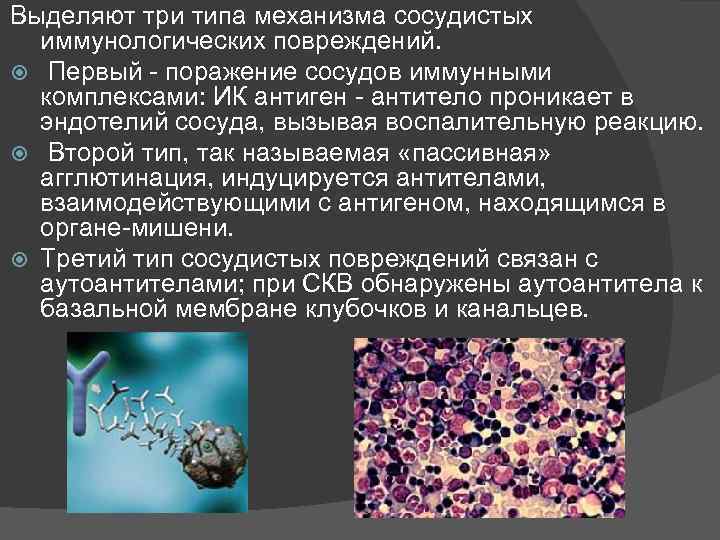 Выделяют три типа механизма сосудистых иммунологических повреждений. Первый - поражение сосудов иммунными комплексами: ИК