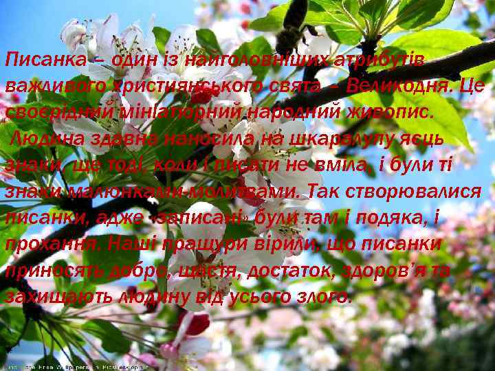 Писанка – один із найголовніших атрибутів важливого християнського свята – Великодня. Це своєрідний мініатюрний