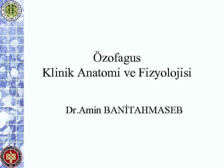 Özofagus Klinik Anatomi ve Fizyolojisi Dr. Amin BANİTAHMASEB 