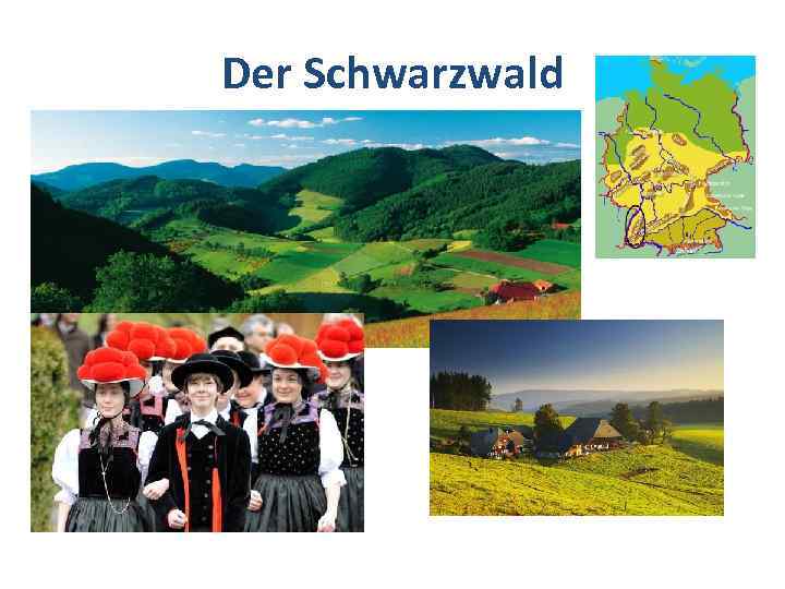 Der Schwarzwald 