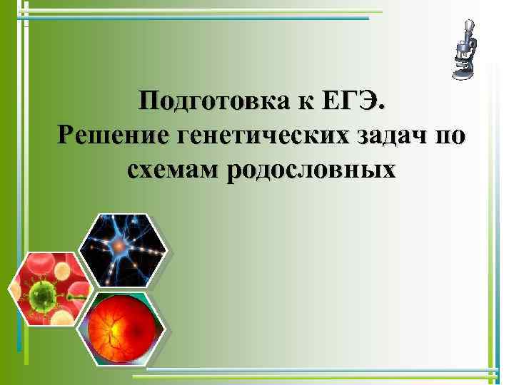 Подготовка к ЕГЭ. Решение генетических задач по схемам родословных 