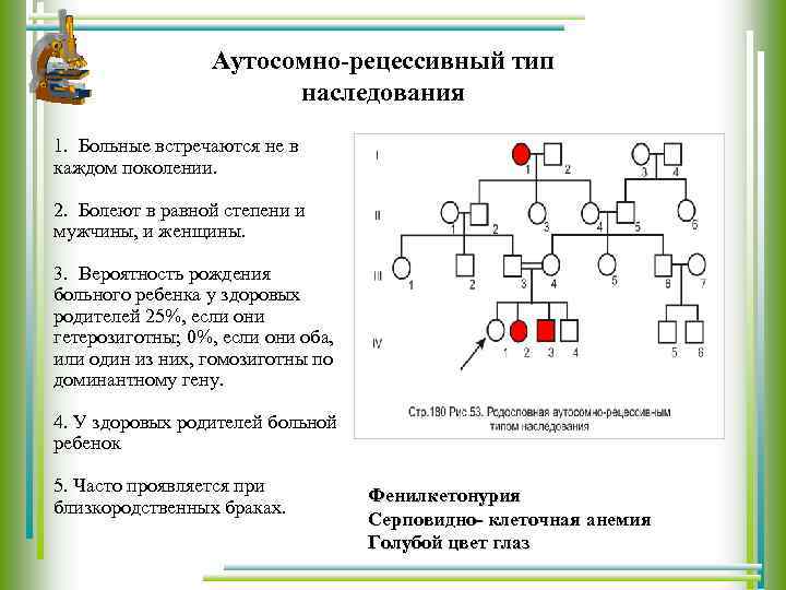 Наследование по наследственной трансмиссии