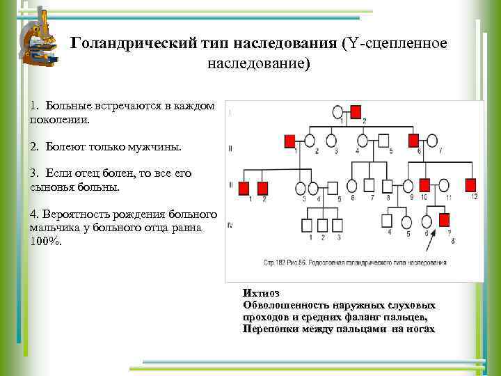 Голандрический тип наследования (Y сцепленное наследование) 1. Больные встречаются в каждом поколении. 2. Болеют