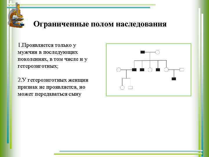 Ограниченные полом наследования 1. Проявляется только у мужчин в последующих поколениях, в том числе