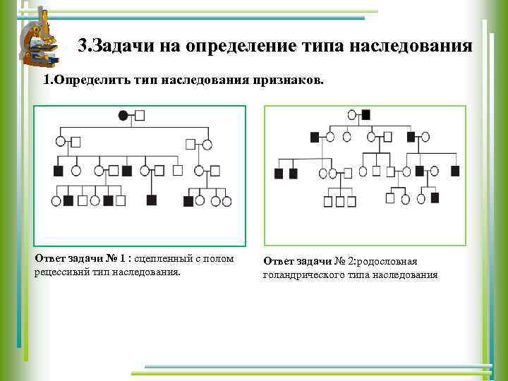 3. Задачи на определение типа наследования 1. Определить тип наследования признаков. Ответ задачи №