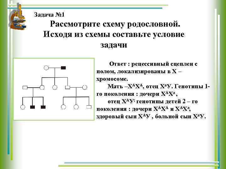 Задача № 1 Рассмотрите схему родословной. Исходя из схемы составьте условие задачи Ответ :