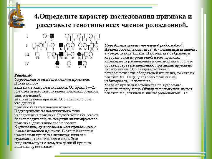  4. Определите характер наследования признака и расставьте генотипы всех членов родословной. Решение: Определяем