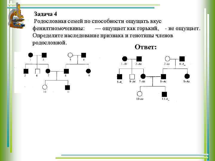  Задача 4 Родословная семей по способности ощущать вкус фенилтиомочевины: — ощущает как горький,