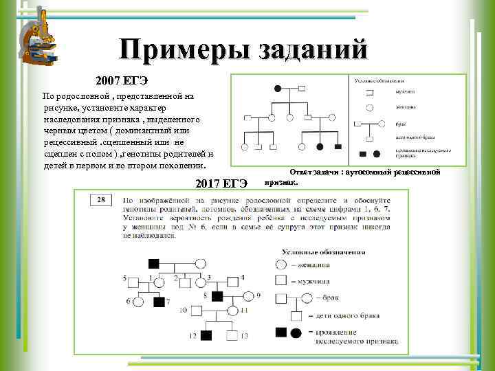 Примеры заданий 2007 ЕГЭ По родословной , представленной на рисунке, установите характер наследования признака