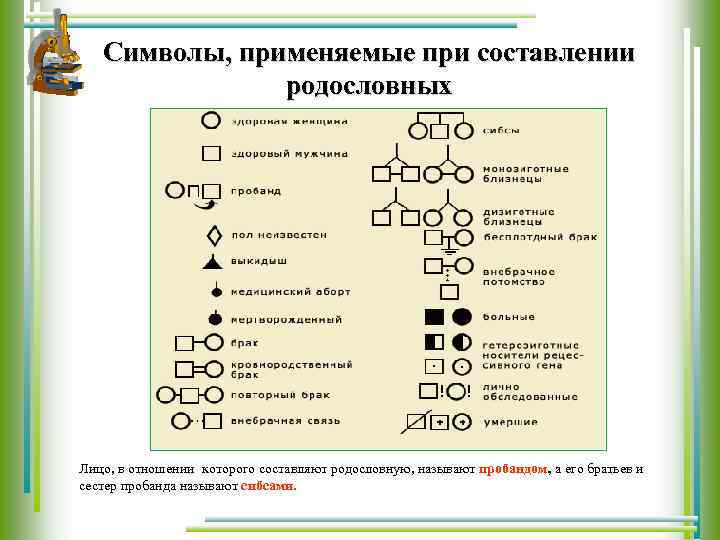 Символы, применяемые при составлении родословных Лицо, в отношении которого составляют родословную, называют пробандом, а