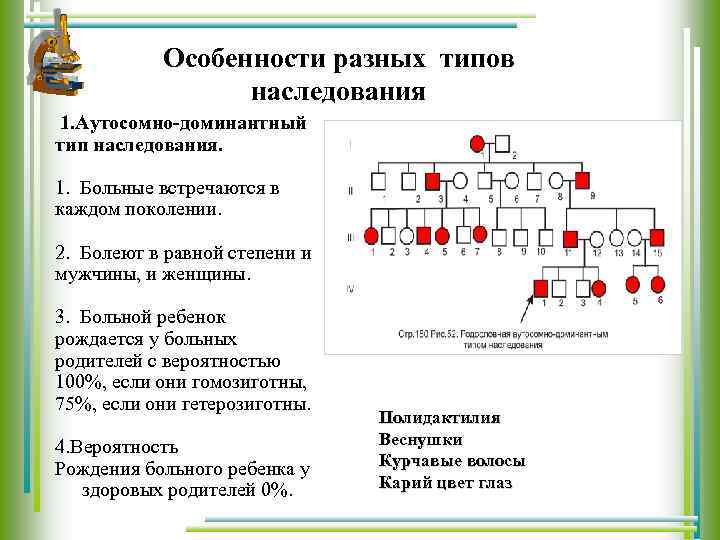Особенности разных типов наследования 1. Аутосомно доминантный тип наследования. 1. Больные встречаются в каждом