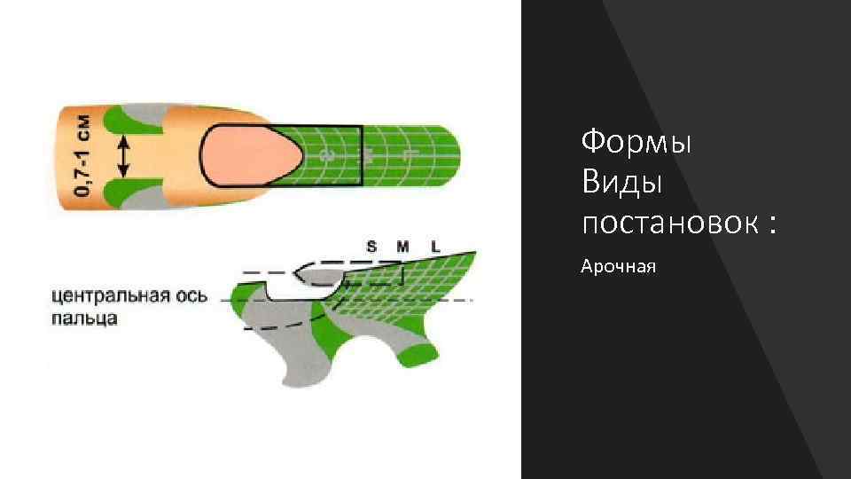 Формы Виды постановок : Арочная 