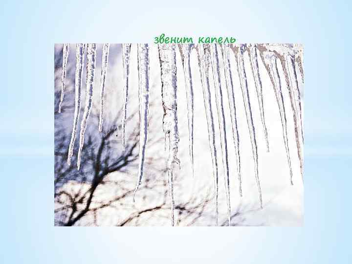 звенит капель 